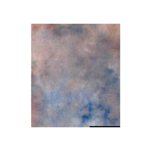 Tekstilno foto ozadje, platno 2,9x7 m - FE2961122