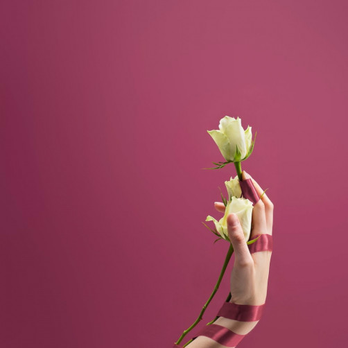 Colorama papirnato studijsko ozadje DAMSON 1,35x11m - CO544