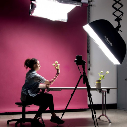 Colorama papirnato studijsko ozadje DAMSON 1,35x11m - CO544